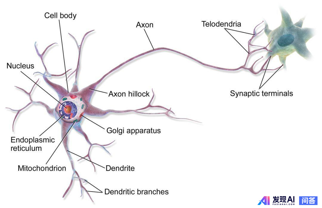 AI 芯片和传统芯片有何区别？-7.jpg