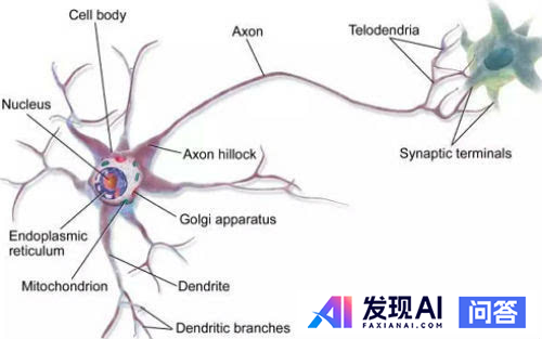 为什么大模型能通过自然语言训练表现出智能？智能的载体是自然语言吗？-4.jpg