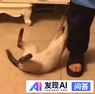 你买过最让你后悔的服装是哪一件？-3.jpg