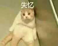 有什么让人一看就觉得“这个人好有意思啊”的文案？-26.jpg