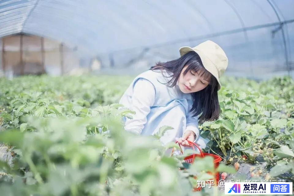 AI 技术做自媒体能赚米吗？-3.jpg