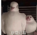 人工智能工具聚合网站有哪些？-5.jpg