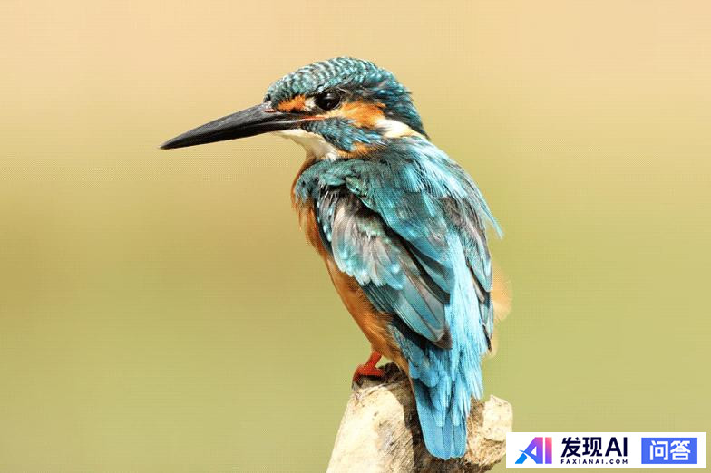 人工智能工具聚合网站有哪些？-44.jpg