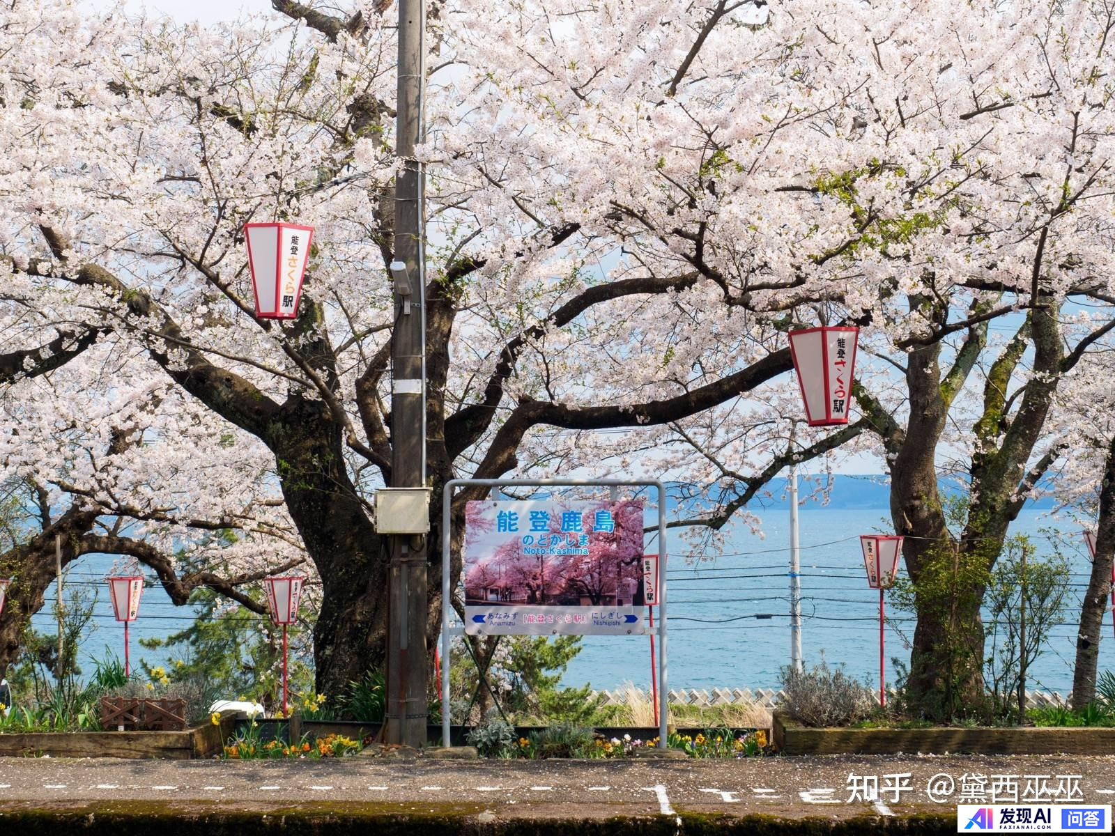 哪些网站帮你打开了新世界的大门？-19.jpg