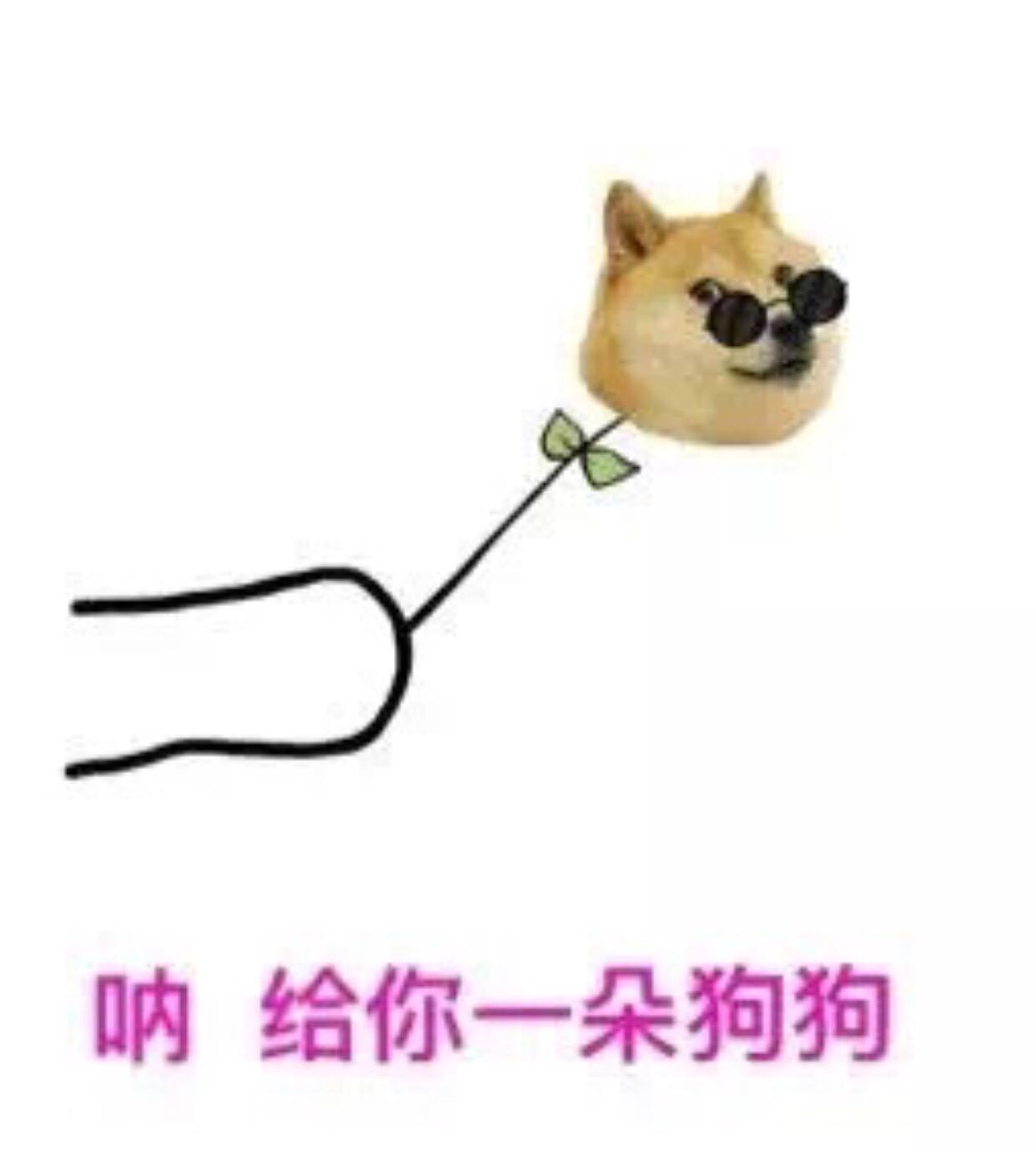 你的手机上有哪些有意思的应用（APP ）？-4.jpg